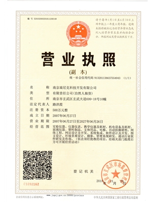 南京瑞尼克科技开发有限公司