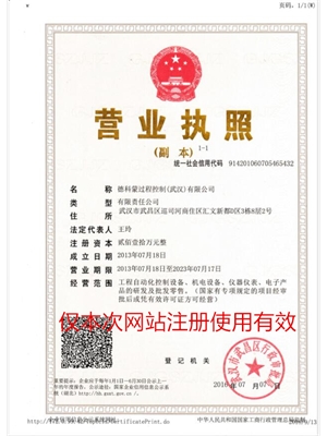 德科蒙过程控制武汉有限公司