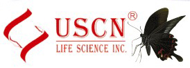 武汉优尔生科技 USCN Life Science (USCNK)