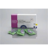 e-Myco 支原体PCR检测试剂盒（48反应/盒）货号25235