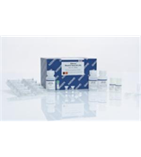 QIAGEN 206143 Multiplex PCR Kit Print