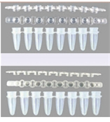 LabServ 聚丙烯 PCR8联管 无热原 密封性8联管310101010