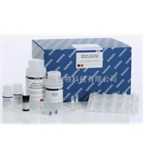 Qiagen55114 QIAamp Circulating Nucleic Acid Kit&am