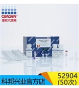 52904 50次 QIAamp Viral RNA Mini 病毒RAN纯化 50次