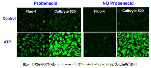 probenecid-1.png