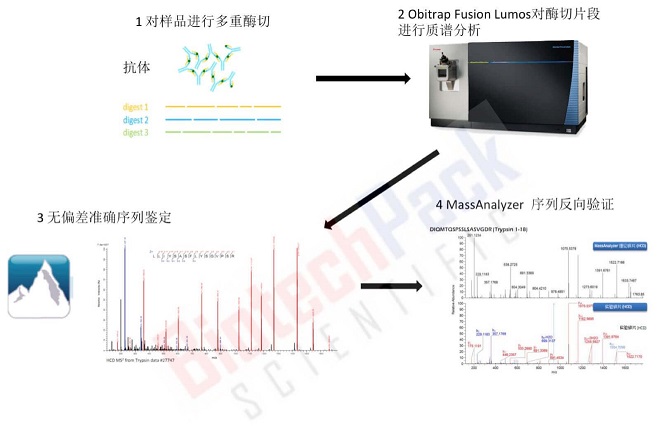 20221219-0177-image-单克隆抗体从头测序.jpg